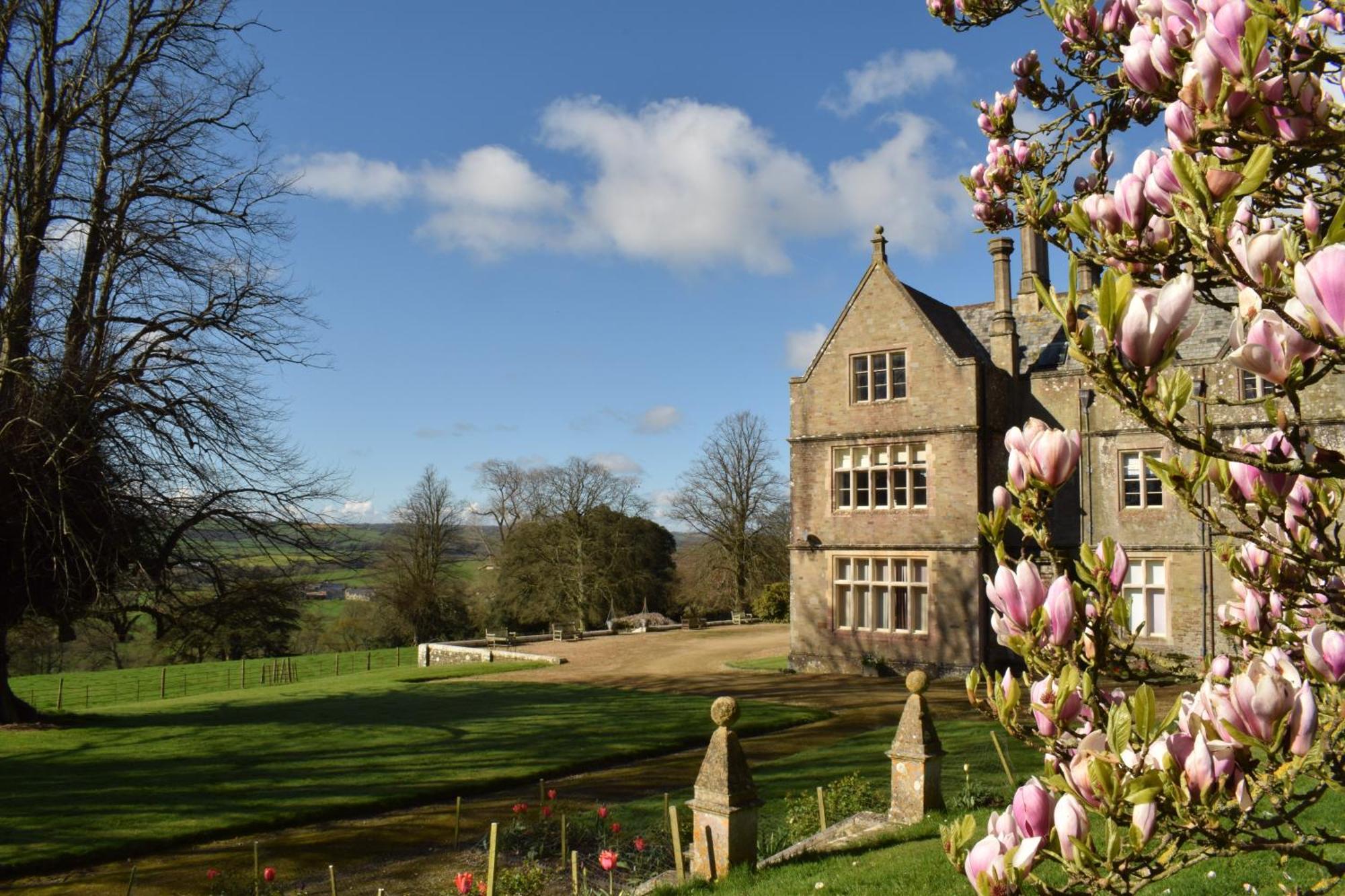 Bed and Breakfast Hall Bed & Breakfast Bishops Tawton Exterior foto